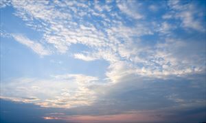 RED2020906B011_TP_V4_R